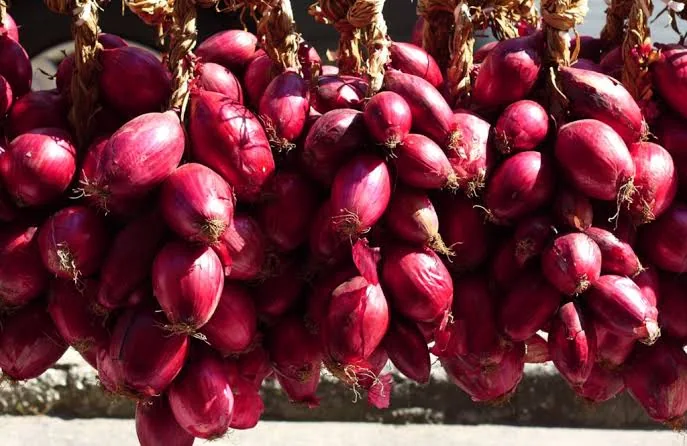 Cipolle rosse di Tropea appese ad essiccare